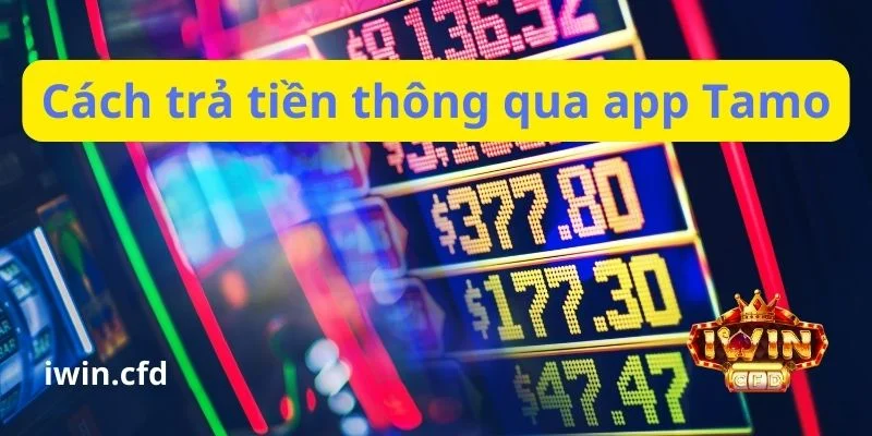 tải app tamo